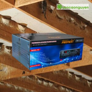 Thùng Âm Ly PRONEST P6 SWIFTLETS AMPLIFIER (800 LOA)