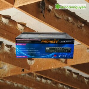 Thùng Âm Ly trong nhà yến PRONEST P2 SWIFTLETS AMPLIFIER