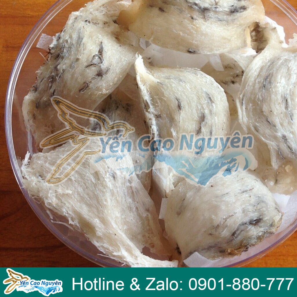 Yến sào thô